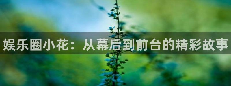 顺盈娱乐：娱乐圈小花：从幕后到前台的精彩故事