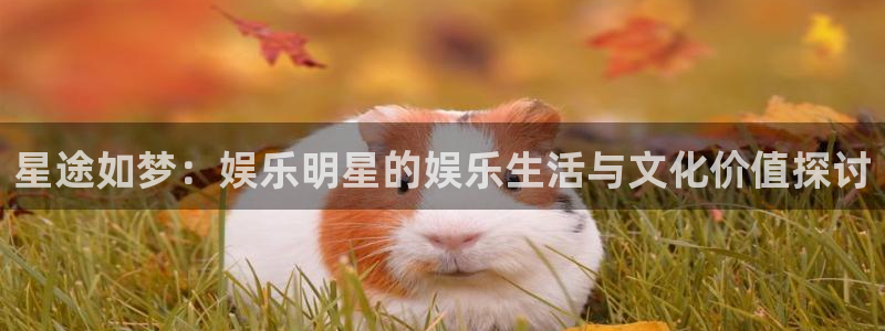 顺盈娱乐：星途如梦：娱乐明星的娱乐生活与文化价值探讨