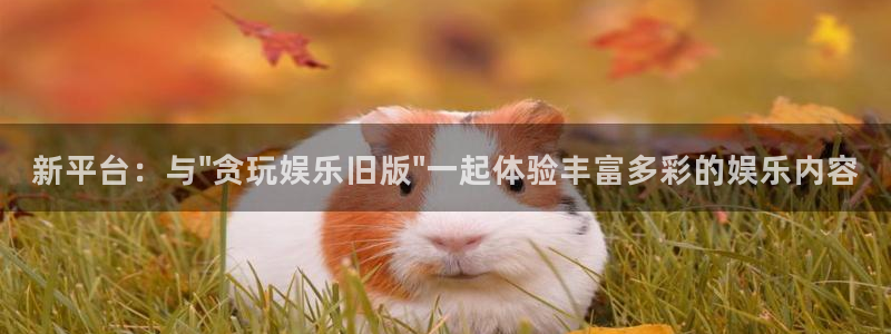 顺盈娱乐：新平台：与\