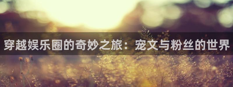 upload/20250701114914.jpg